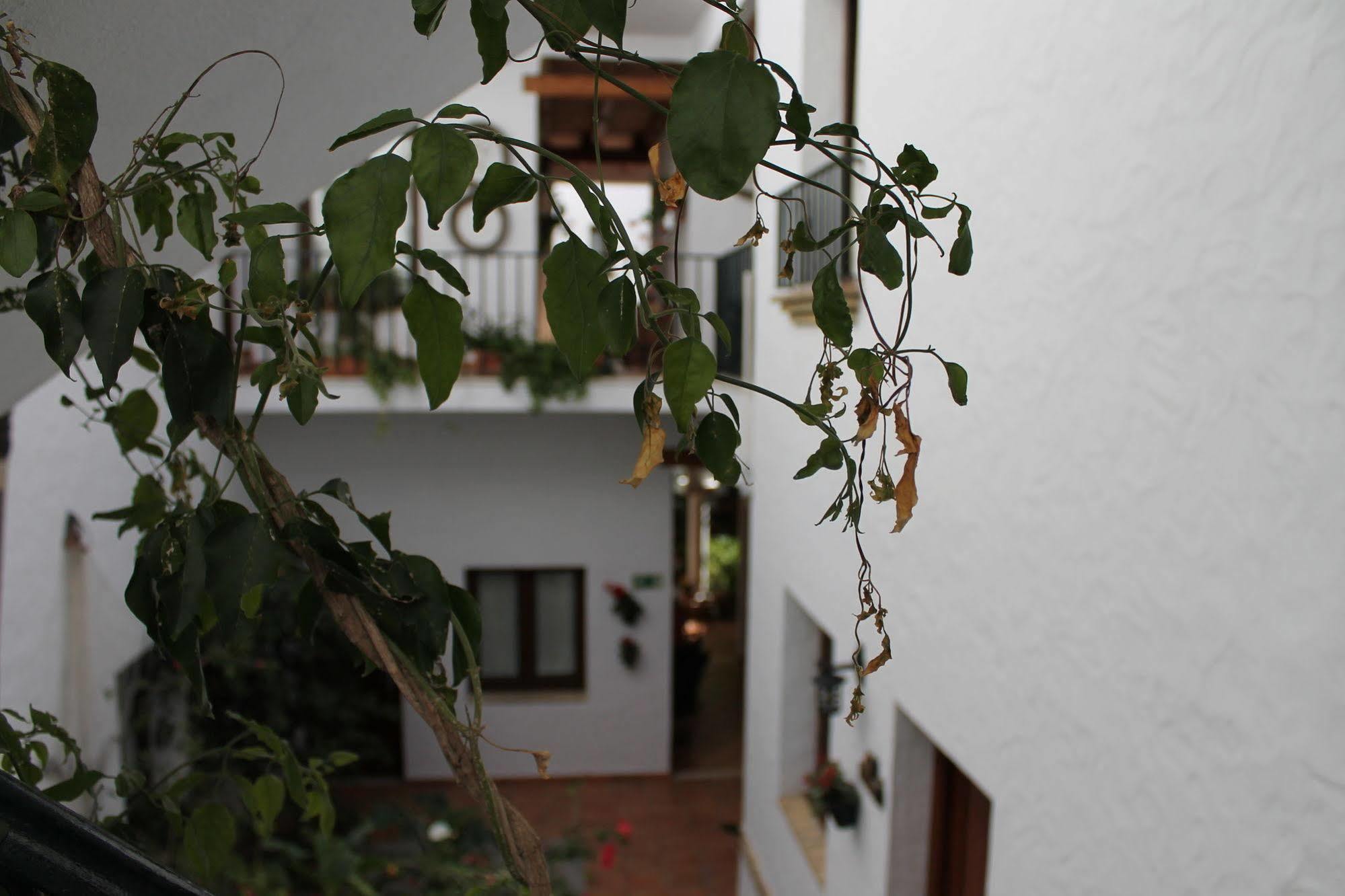 Almadraba Conil Hotell Conil De La Frontera Exteriör bild